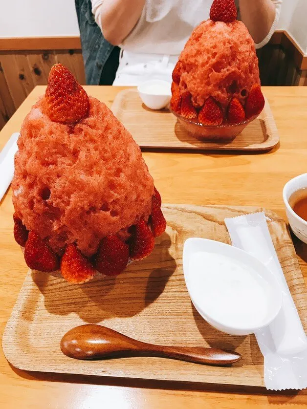 動物看護士・トリマー 大野貴絵 写真2