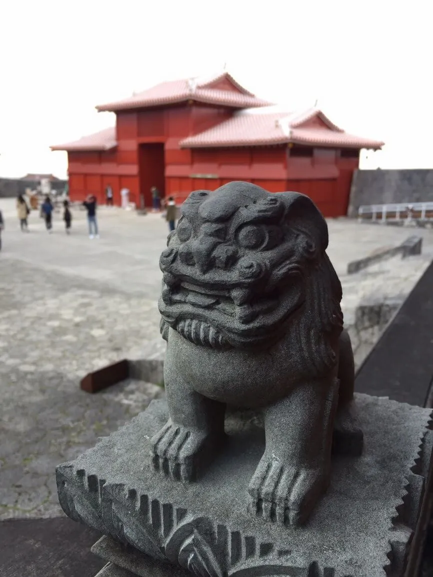 動物看護士・トリマー 大野貴絵 写真5