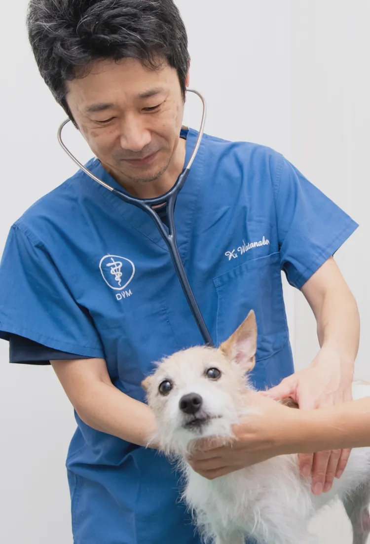 大切な家族のために