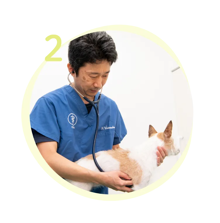 セカンドオピニオン