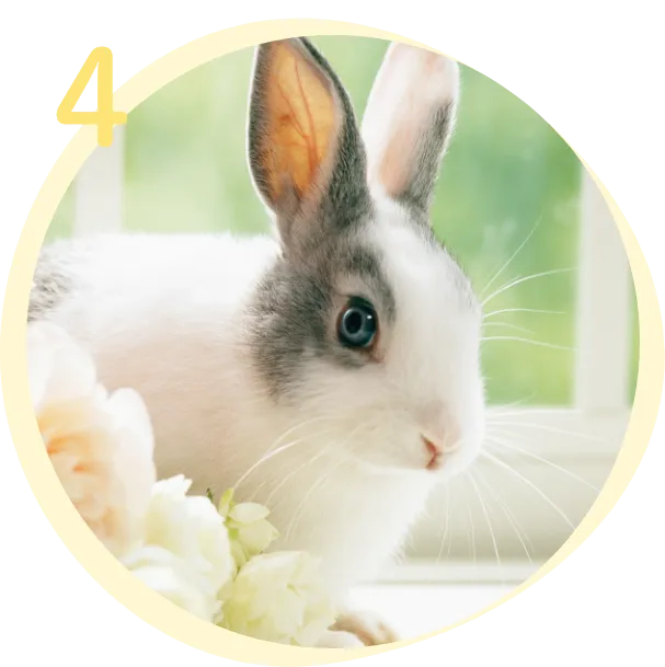 エキゾチックアニマル