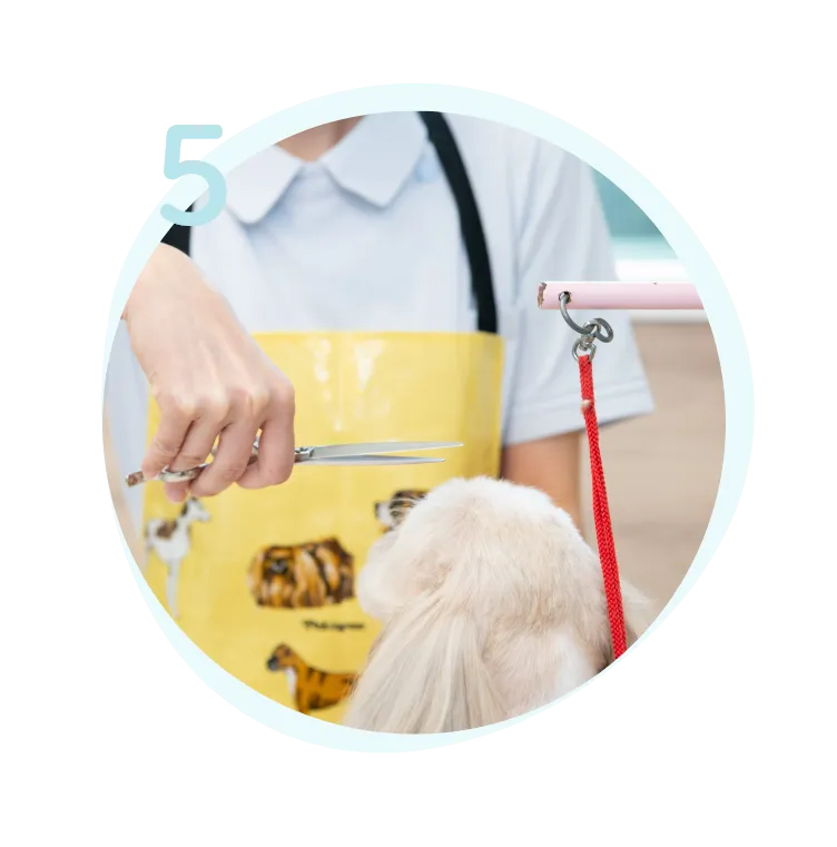 トリミング施設完備