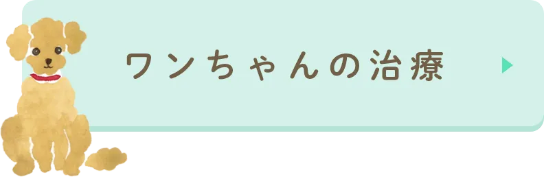 ワンちゃんの治療