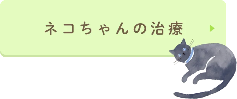 ネコちゃんの治療