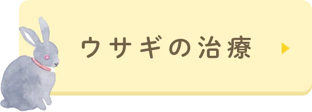 ウサギの治療