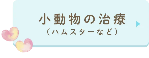 小動物の治療（ハムスターなど）