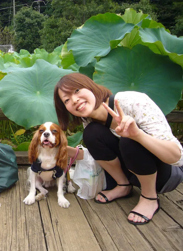 動物看護士・トリマー 大野貴絵 写真2