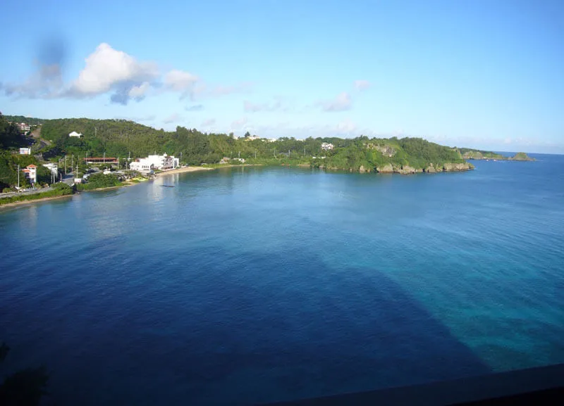 動物看護士・トリマー 大野貴絵 写真3