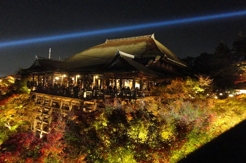 動物看護士・トリマー 豊田七海 写真4