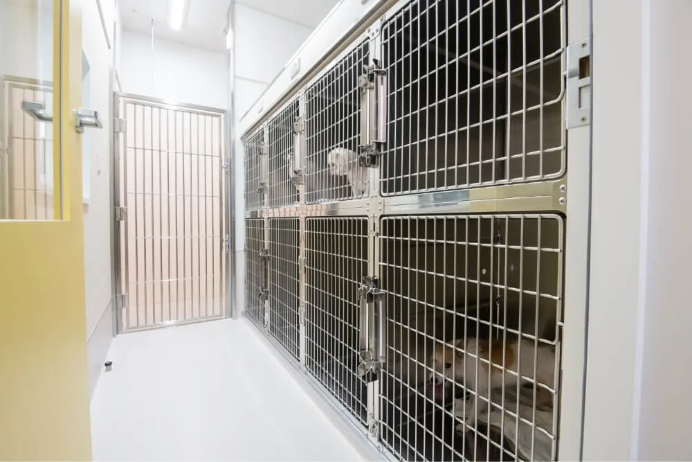 マイクロバブルバス​