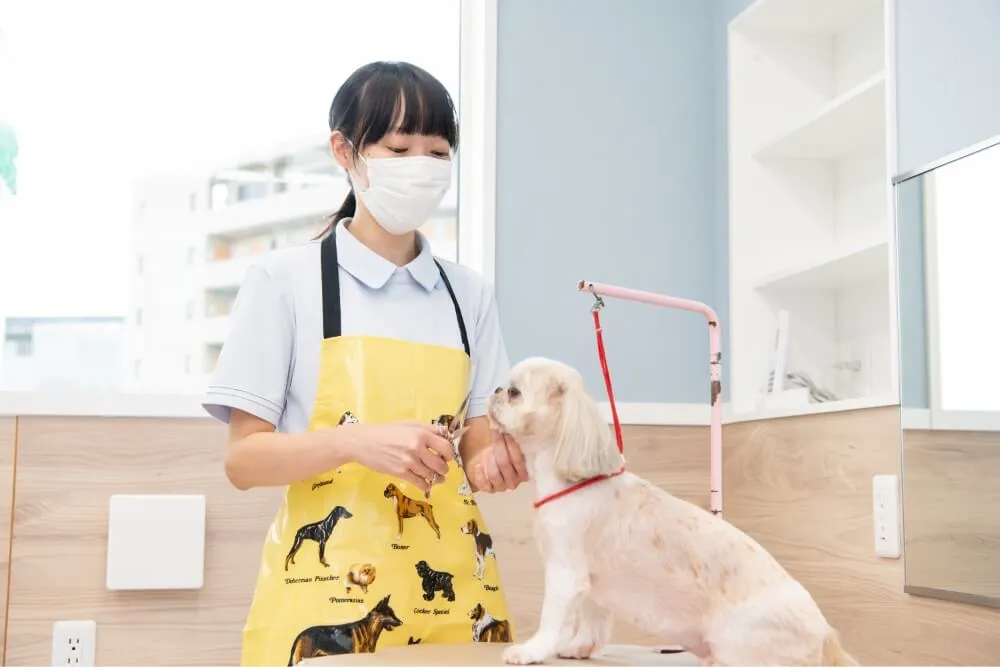 富士森公園動物病院は他の病院とここが違う! 富士森公園動物病院は他の病院とここが違う!