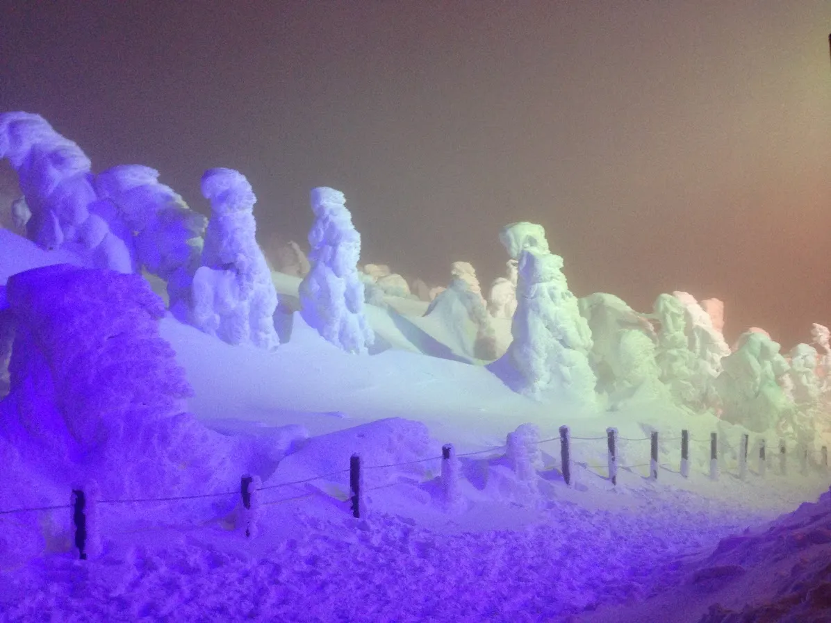 愛玩動物看護師 渡辺絵美子 写真2