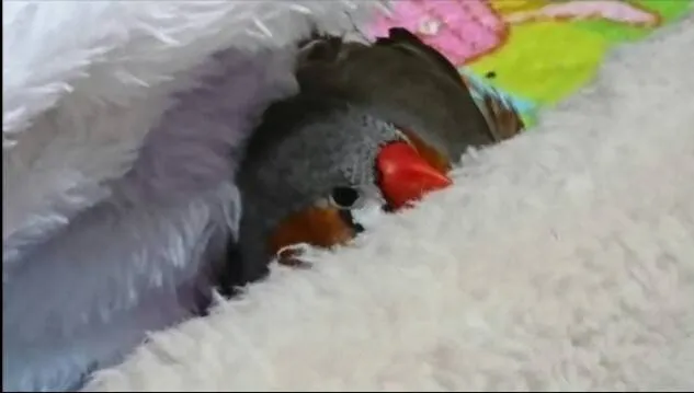 獣医師 近藤猛雄 写真1