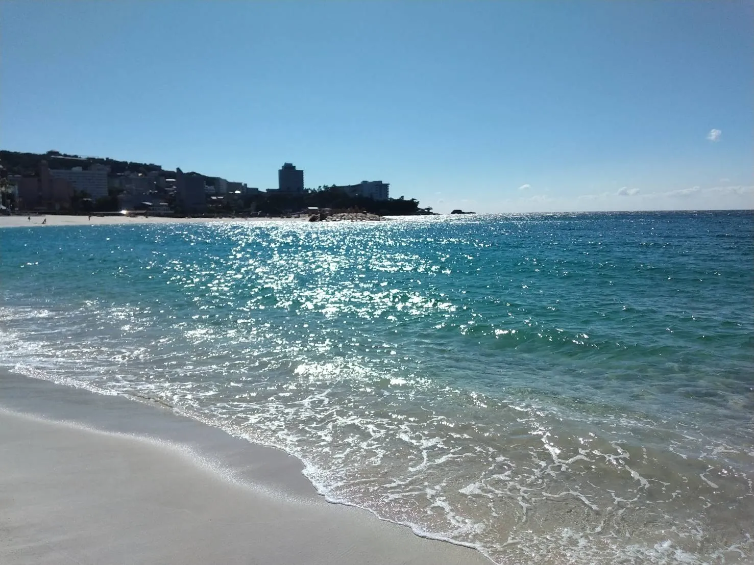 獣医師 近藤猛雄 写真2