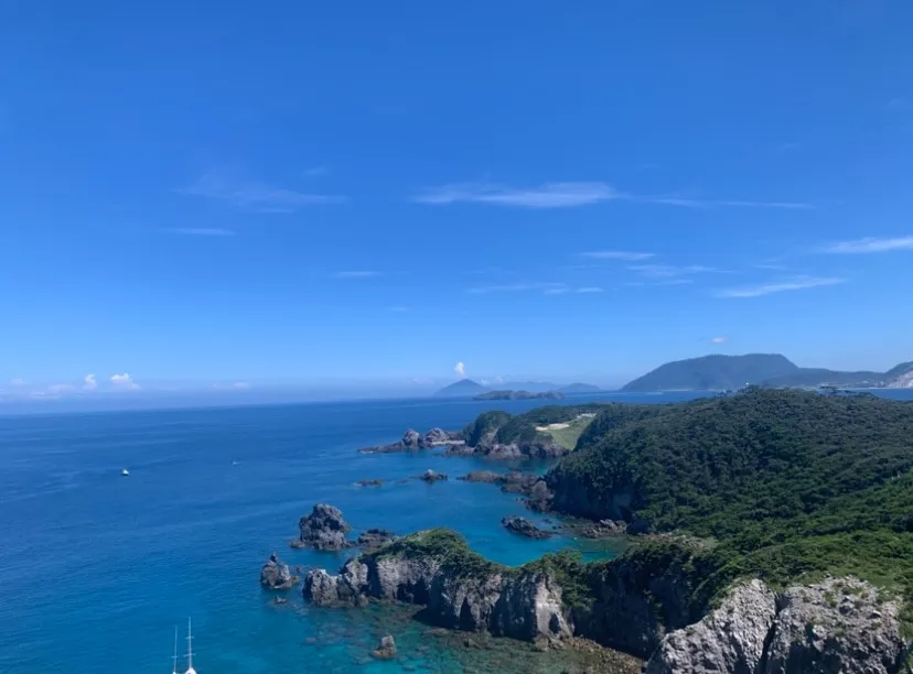 動物診療助手・トリマー 水宮琉那 写真1