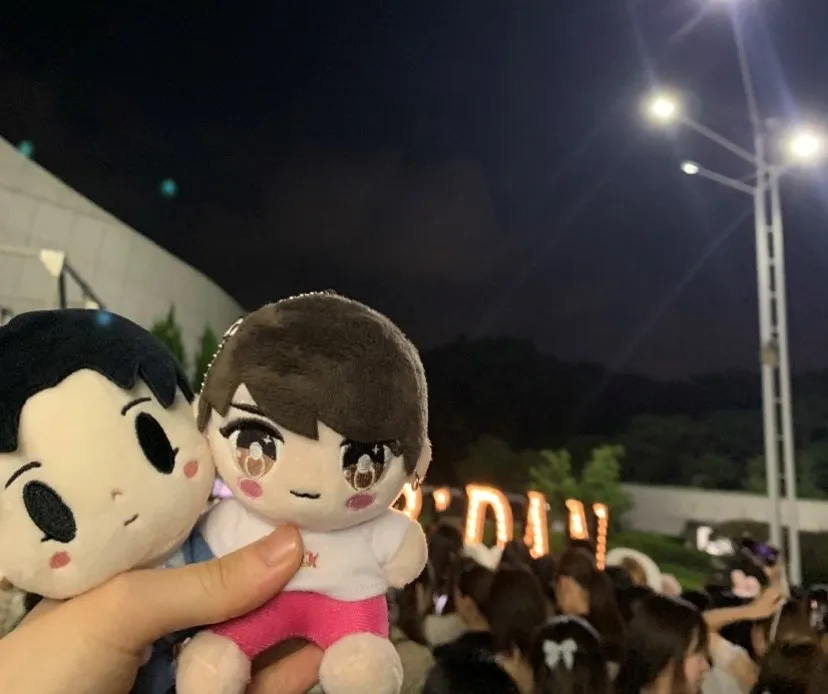 動物診療助手・トリマー 水宮琉那 写真2