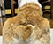 動物診療助手　川堀　花菜写真3